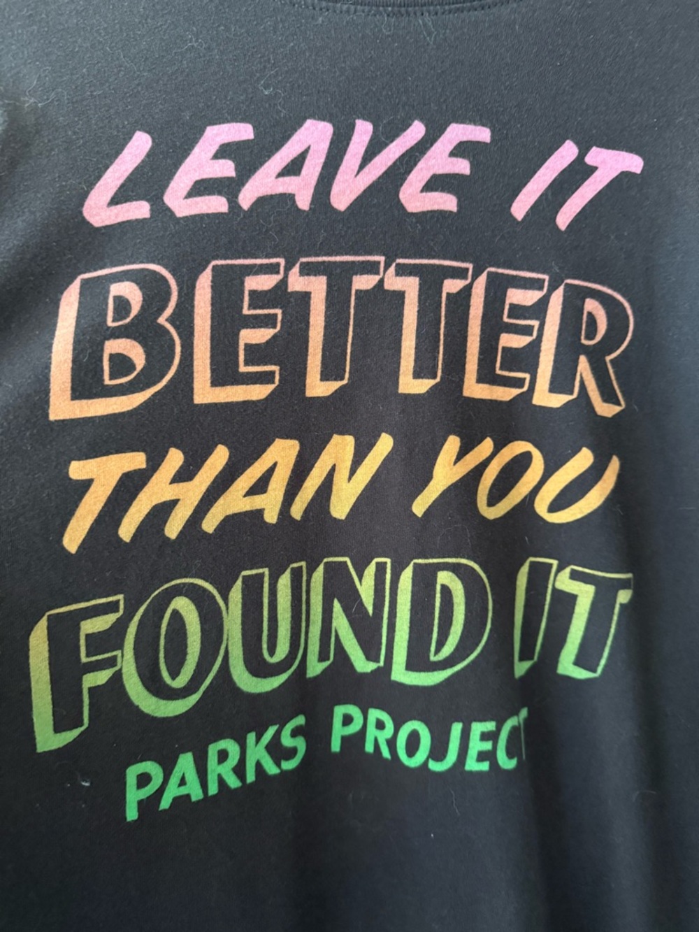 Granola Girl Parks Project 100% Cotton Graphic Gray Tee - Picture 3 of 6